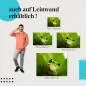 Preview: "Versteckter Frosch" Leinwandbild. Ideale Größe, setze Akzente! Preview: "Versteckter Frosch" Leinwandbild. Ideale Größe, setze Akzente!