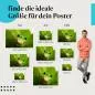 Preview: Frosch im Blättermeer Poster: Naturfotografie - finde die perfekte Größe! Preview: Frosch im Blättermeer Poster: Naturfotografie - finde die perfekte Größe!