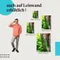 Preview: Gecko: Leinwandbild. Grün, Regenwald. Preview: Gecko: Leinwandbild. Grün, Regenwald.