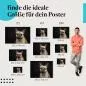 Preview: Französische Bulldogge | Postereck 4074 Preview: Französische Bulldogge | Postereck 4074