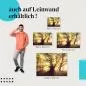Preview: Herbstlicher Buchenwald | Postereck 2613 Preview: Herbstlicher Buchenwald | Postereck 2613