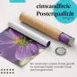Preview: Heuschrecke: Pinke Kosmee | Postereck 1794 Preview: Heuschrecke: Pinke Kosmee | Postereck 1794