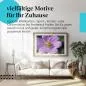 Preview: Heuschrecke: Pinke Kosmee | Postereck 1794 Preview: Heuschrecke: Pinke Kosmee | Postereck 1794