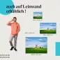Preview: Windmühle: Leinwandbild. Deich, Schafe, Wiese. Preview: Windmühle: Leinwandbild. Deich, Schafe, Wiese.