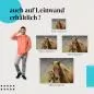 Preview: "Islandpferde vor Vulkanlandschaft" Leinwandbild. Finde die ideale Größe für dein Zuhause & setze Akzente mit Kunst! Preview: "Islandpferde vor Vulkanlandschaft" Leinwandbild. Finde die ideale Größe für dein Zuhause & setze Akzente mit Kunst!