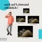 Preview: Schlafendes Kätzchen | Postereck 3085 Preview: Schlafendes Kätzchen | Postereck 3085