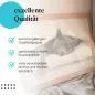 Preview: Gemütliche Katze: Im Bett | Postereck 1800 Preview: Gemütliche Katze: Im Bett | Postereck 1800