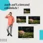 Preview: Kirschblüte: Grüne Landschaft | Postereck 1805 Preview: Kirschblüte: Grüne Landschaft | Postereck 1805