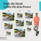 Preview: Almabtrieb | Postereck 3849 Preview: Almabtrieb | Postereck 3849