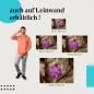 Preview: Lila Blume & Herbstlaub: Kontrast der Natur | Postereck 0695 Preview: Lila Blume & Herbstlaub: Kontrast der Natur | Postereck 0695