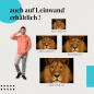 Preview: Ein Löwe mit intensivem Blick vor schwarzem Hintergrund als Leinwandbild - der König der Tiere in seiner ganzen Pracht. Wähle deine Wunschgröße.