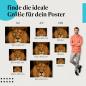 Preview: Wähle die ideale Postergröße: Ein Löwe mit intensivem Blick vor schwarzem Hintergrund - der König der Tiere in seiner ganzen Pracht.