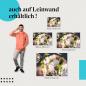 Preview: Magnolien: Leinwandbild. Weiß, Abendsonne, Gegenlicht.