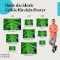 Preview: Finde die ideale Postergröße: Monstera-Blatt, Wassertropfen, grün, erfrischend.