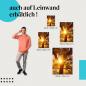 Preview: Leinwandbild "Olivenbaum im Sonnenlicht": Natur & Ruhe