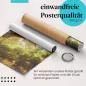 Preview: Mediterranes Flair: Olivenbaum | Postereck 1442 Preview: Mediterranes Flair: Olivenbaum | Postereck 1442