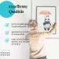 Preview: Panda mit Regenschirm | Postereck 3623 Preview: Panda mit Regenschirm | Postereck 3623