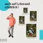 Preview: Papageientaucher: Leinwandbild. Schnabel, Blüten. Preview: Papageientaucher: Leinwandbild. Schnabel, Blüten.