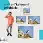 Preview: Papageientaucher | Postereck 3842 Preview: Papageientaucher | Postereck 3842