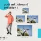 Preview: Papageientaucher: Leinwandbild. Felsen, Margeriten. Preview: Papageientaucher: Leinwandbild. Felsen, Margeriten.