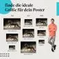 Preview: Pferd, Poster: Braun, galoppierend, Sand, Anmut, Energie. Preview: Pferd, Poster: Braun, galoppierend, Sand, Anmut, Energie.