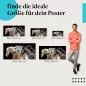 Preview: Pferde, Poster: Falbe, Schimmel, Rappe, galoppierend. Preview: Pferde, Poster: Falbe, Schimmel, Rappe, galoppierend.