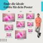 Preview: Blumen im Detail: Poster "Zarte Schönheit" - Pinke Blume & verschwommener Hintergrund