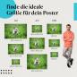 Preview: Polarfuchs, Poster: Welpe, grau, Wiese.