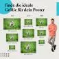Preview: Polarfuchs Welpe | Postereck 3470 Preview: Polarfuchs Welpe | Postereck 3470