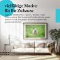 Preview: Leinwandbild "Polarfuchs": Welpe, graues Fell - niedlich & verspielt.