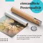 Preview: Gerolltes Poster "Pusteblume", Abendlicht.