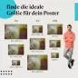 Preview: Pusteblume | Postereck 3340