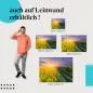 Preview: "Blütenmeer im Sonnenuntergang" Leinwandbild: Ein Meer aus gelben Blüten Preview: "Blütenmeer im Sonnenuntergang" Leinwandbild: Ein Meer aus gelben Blüten