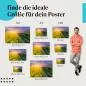 Preview: Farbenpracht der Natur: Rapsfeld Poster "Blütenmeer im Sonnenuntergang" Preview: Farbenpracht der Natur: Rapsfeld Poster "Blütenmeer im Sonnenuntergang"