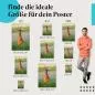 Preview: Junger Rehbock | Postereck 4110 Preview: Junger Rehbock | Postereck 4110
