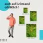 Preview: Reisterrassen | Postereck 3648 Preview: Reisterrassen | Postereck 3648