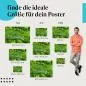Preview: Reisterrassen, Poster: Bali, grün, Luftaufnahme. Preview: Reisterrassen, Poster: Bali, grün, Luftaufnahme.