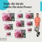Preview: Rosafarbene Rose Poster: Makroaufnahme - finde die perfekte Größe!