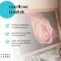 Preview: Rosa Rose | Postereck 2785 Preview: Rosa Rose | Postereck 2785