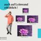 Preview: Lila Rose: Leinwandbild. Unscharfer Hintergrund.