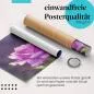 Preview: Lila Rose | Postereck 3225 Preview: Lila Rose | Postereck 3225