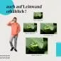 Preview: "Rotaugenlaubfrosch" Leinwandbild. Finde die ideale Größe für dein Zuhause & setze Akzente mit Kunst! Preview: "Rotaugenlaubfrosch" Leinwandbild. Finde die ideale Größe für dein Zuhause & setze Akzente mit Kunst!
