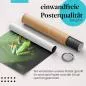 Preview: "Rotaugenlaubfrosch": Gerolltes Poster - Regenwald. Preview: "Rotaugenlaubfrosch": Gerolltes Poster - Regenwald.
