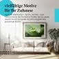 Preview: Stylisches Leinwandbild: Rotaugenlaubfrosch. Preview: Stylisches Leinwandbild: Rotaugenlaubfrosch.