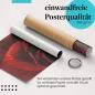 Preview: Rote Rose | Postereck 3416 Preview: Rote Rose | Postereck 3416