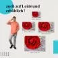 Preview: Rote Rose | Postereck 2364 Preview: Rote Rose | Postereck 2364