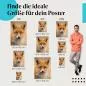 Preview: Roter Fuchs | Postereck 3483 Preview: Roter Fuchs | Postereck 3483