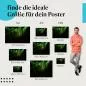 Preview: Entdecke die passende Postergröße: Grüne Schlange, leuchtende Augen, Schuppen. Preview: Entdecke die passende Postergröße: Grüne Schlange, leuchtende Augen, Schuppen.