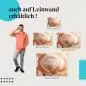 Preview: Spirale des Lebens: Schneckenhaus | Postereck 1229 Preview: Spirale des Lebens: Schneckenhaus | Postereck 1229