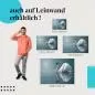 Preview: "Schwan" Leinwand. Verschiedene Größen - setze stilvolle Akzente! Preview: "Schwan" Leinwand. Verschiedene Größen - setze stilvolle Akzente!
